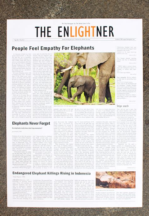 enlightner front page   tabloid  behance