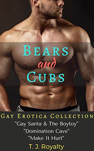 bears  cubs gay erotica collection gay santa  boytoy