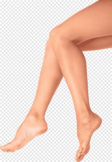 femme jambes corps humain rome corps humain femme jambes jambe