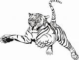 Tiger Coloring Face Pages Printable sketch template