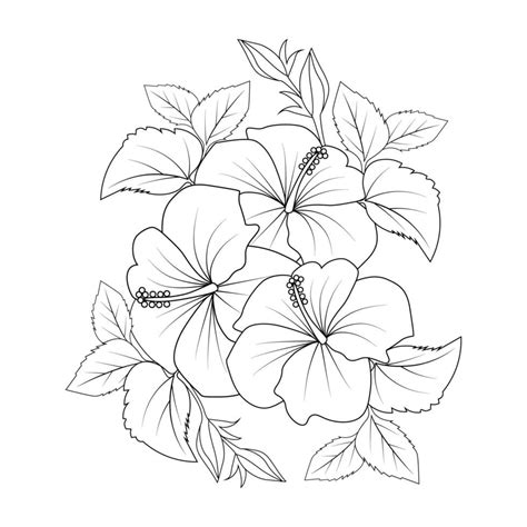 hawaiian flower coloring page illustration   art stroke