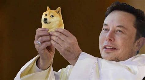 dogecoin cost spikes   elon musk purchases twitter
