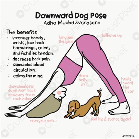 benefits  downward dog yoga pose kayaworkoutco