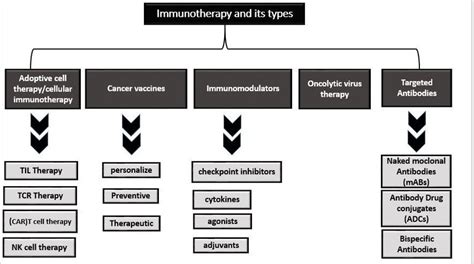 Flow Sheet Of Types Of Immunotherapy Against Cancer [8] Download