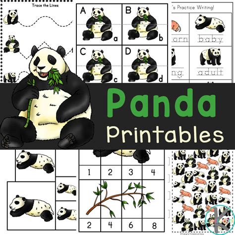 printable panda worksheets  life cycle  coloring pages