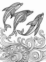 Zentangle Dolphins Delfines Delfin Mandalas Olas Coloringpagesfortoddlers T3 Book Tiere Dibujados sketch template