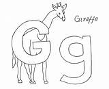 Coloring Giraffe Gir Pages Abc Learning Getcolorings sketch template