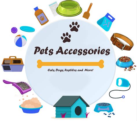 pet accessories   pets owners pets care box
