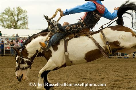 rodeo saddle bronc rider miles city bucking horse sale montana
