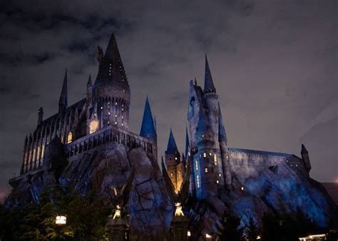 harry potter hogwarts castle tree night sky light