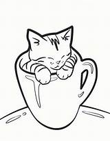 Coloring Pages Kitten Kittens Clipartmag sketch template