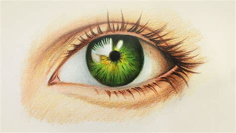 ojo humano dibujo