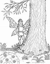 Fairies Cottonwood sketch template