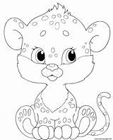Baby Panther Coloring Pages Leopard Kids Template sketch template