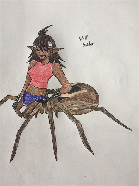 Image Wolf Spider Arachne Jpeg Monster Girl Encyclopedia Wiki