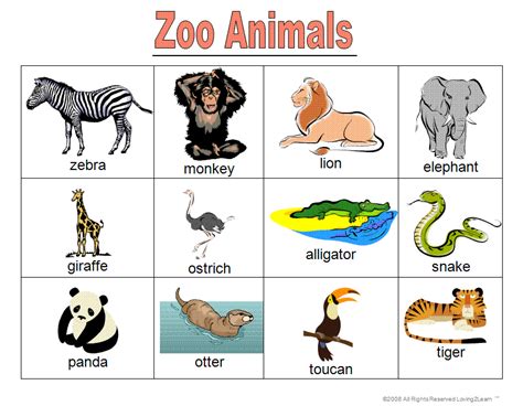 zoo animal games books word cards  learning