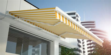 canopies awnings defined whats  difference       news window trends