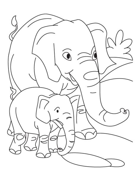 baby elephant coloring pages coloring home