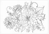 Chrysanthemum Loudlyeccentric Buzzle sketch template