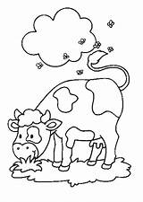 Kleurplaten Koeien Afkomstig Voor Nl Van Kids Coloring Pages sketch template