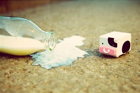 30 milk themed photographs blog