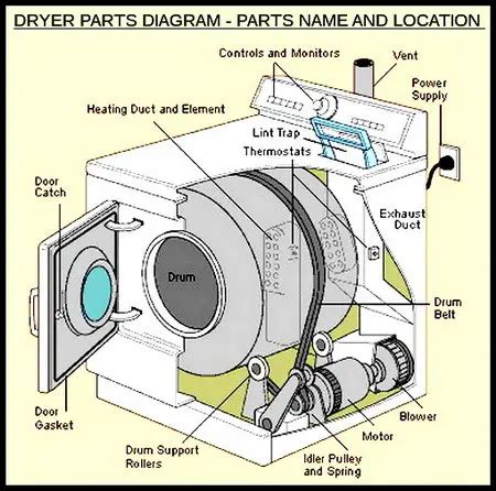 dryer  squeaking noises   fix