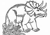Dinosaurs Triceratops Dinosaures Coloriage Coloriages Tricératops Dinosaure Nggallery Justcolor sketch template