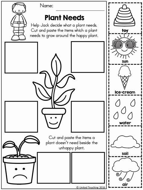 worksheet  kindergarten science  kindergarten science science