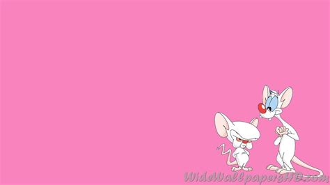 pinky and the brain wallpaper 64 images