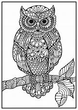 Owl Coloring Pages Mandala Målarbilder Gratis Målarbild Owls Adult Mindfulness Djur Adults Mandalas Bra För Vuxna Book Målarbok Printable Zentangle sketch template