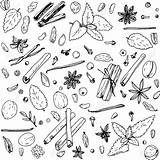 Spices Drawing Getdrawings Vector sketch template