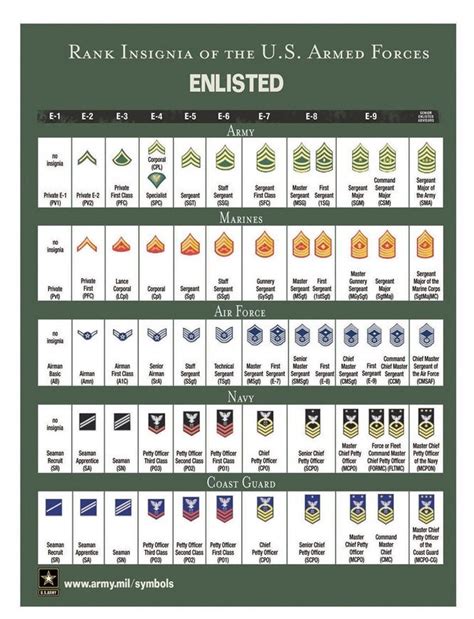 rank insignia    armed forces poster army gifts etsy