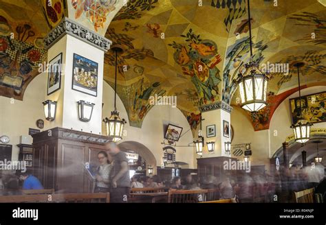 hofbrauhaus munich  res stock photography  images alamy