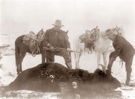wanton north american bison hunts