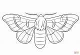 Moth Coloring Silk Silkmoth Pages Printable Color Drawing Template Drawings Sketch Crafts Templates sketch template