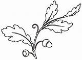 Oak Stencil Leaf Printable Popular Coloring sketch template