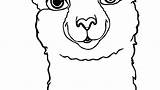 Llama Alpaca Clipartmag Llamacorn sketch template