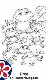 Frogs Speckled Teachersmag sketch template