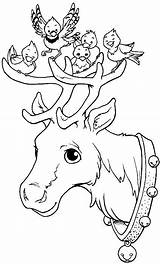 Reindeer Christmas Ausmalbilder Rentier Coloriage Ausmalen Malvorlagen Mandala Rennes Waldtiere Weihnachtsmann Ausmalbild Erwachsene Natal Natale Neige Bonhomme Colorare Pagine Kleuren sketch template