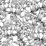 Naadloze Achtergrond Bloemen Zwarte Weefsel Naadloos Witte Patroon Uitstekende sketch template