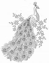 Quilling Peacock Printable Patterns Hand Source sketch template
