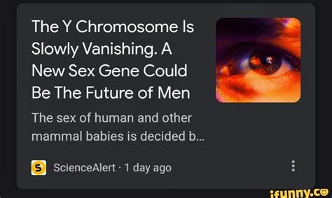The Y Chromosome Is Slowly Vanishing A New Sex Gene Could Be The