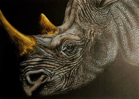 rhinoceros  benji jager colored pencil artwork animals artwork