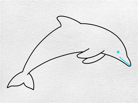 draw  dolphin helloartsy