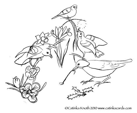 spring birds flowers coloring page printable  flowers coloring