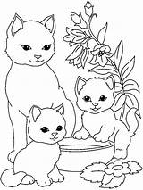 Katzenbabys Ausmalbilder Colorir Animais sketch template