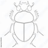 Beetle Vector Scarab Egyptian Coloring Comp Contents Similar Search sketch template