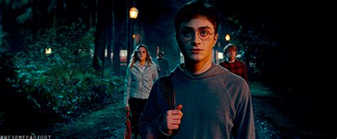 harry potter find and share on giphy