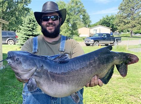 colstrip anglers  pound channel catfish  montana record