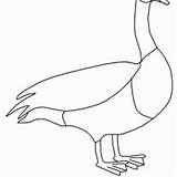 Goose Coloring Animals Netart sketch template